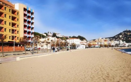 Apartamentos Elvira