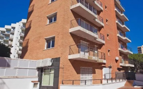 APCOSTAS Villa de Madrid